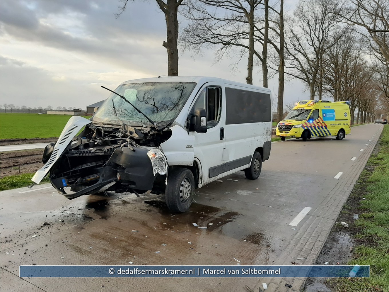 Chauffeur gewond nadat bestelbus tegen boom rijdt