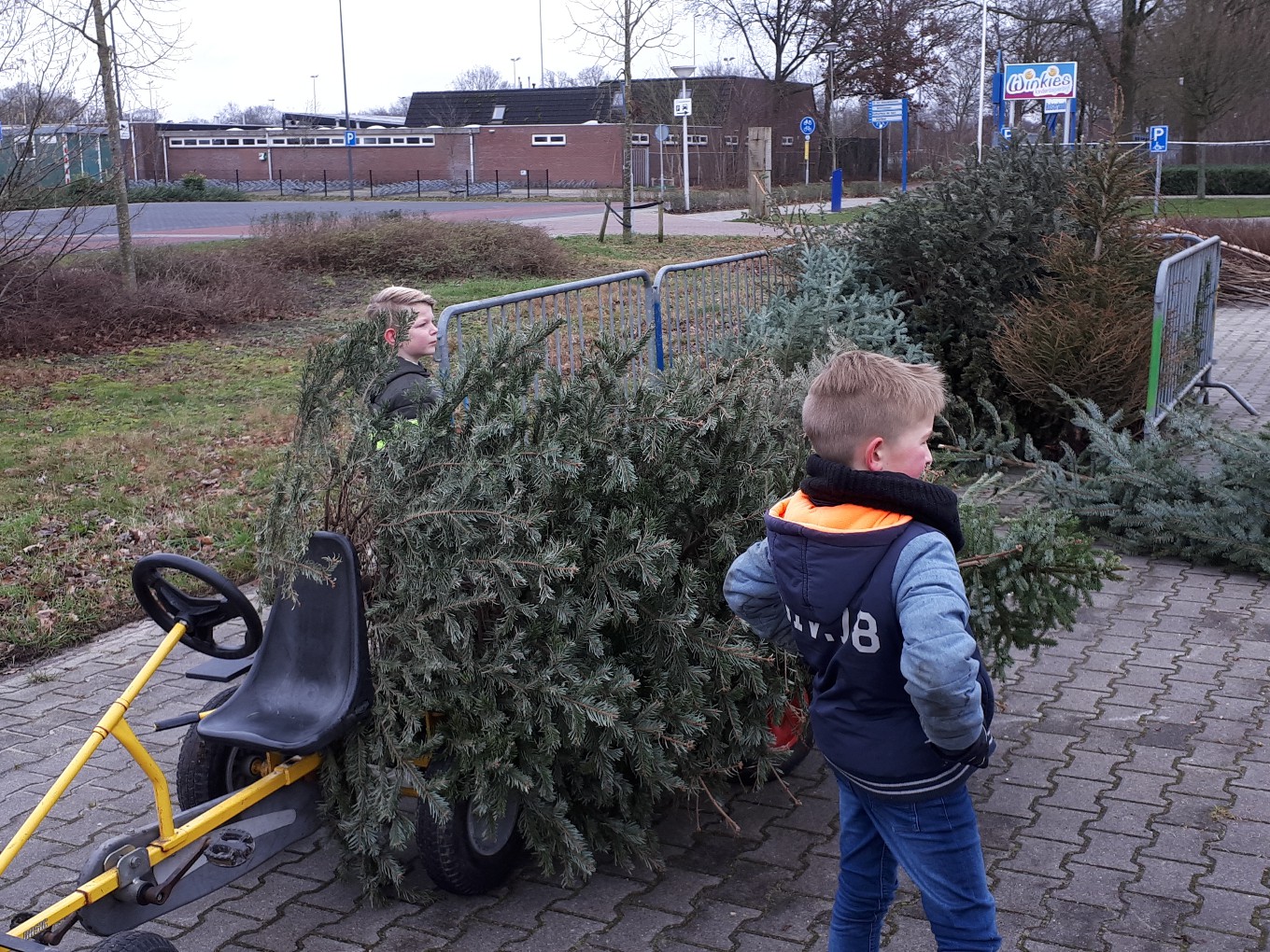 Gemeente Dalfsen zamelt kerstbomen in