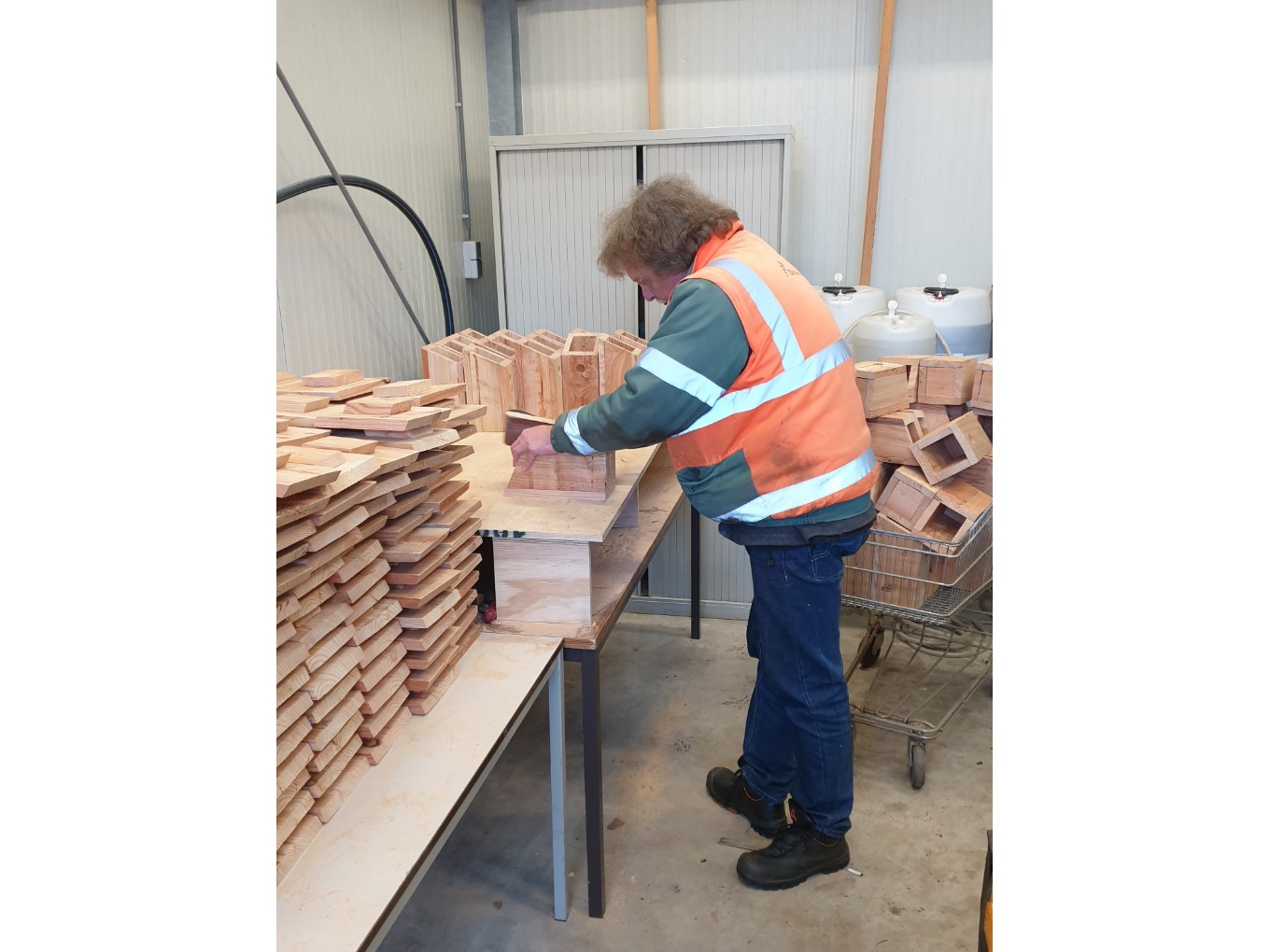 Gratis nestkastjes voor inwoners gemeente Dalfsen