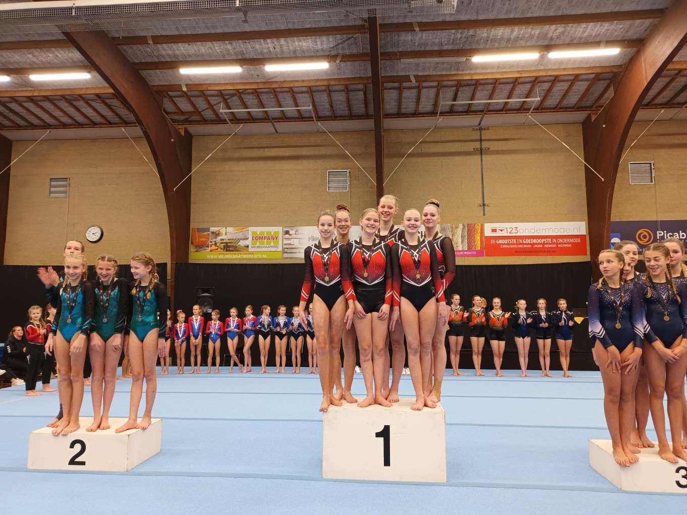 Drie keer goud voor Gymnastiekvereniging Nieuwleusen