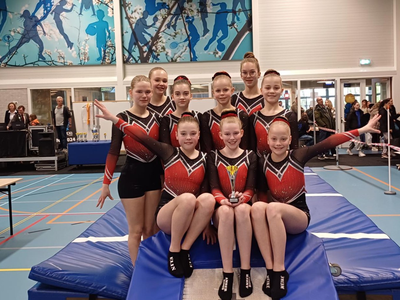 Turnsters Gymnastiekvereniging Nieuwleusen derde van Nederland