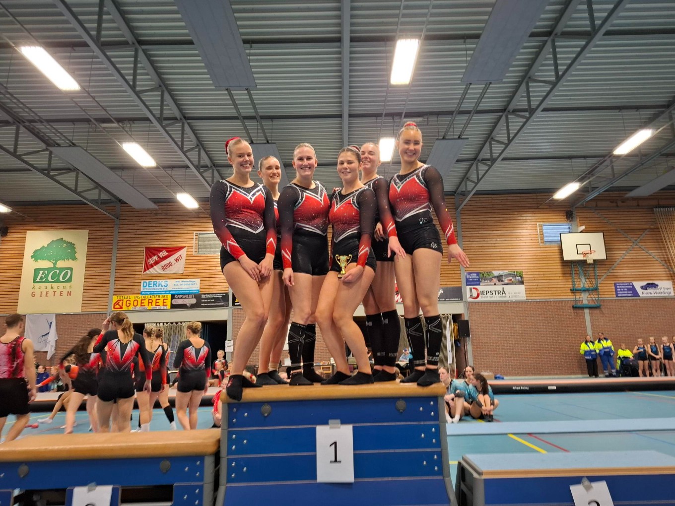 Vier keer goud voor turnsters GVN