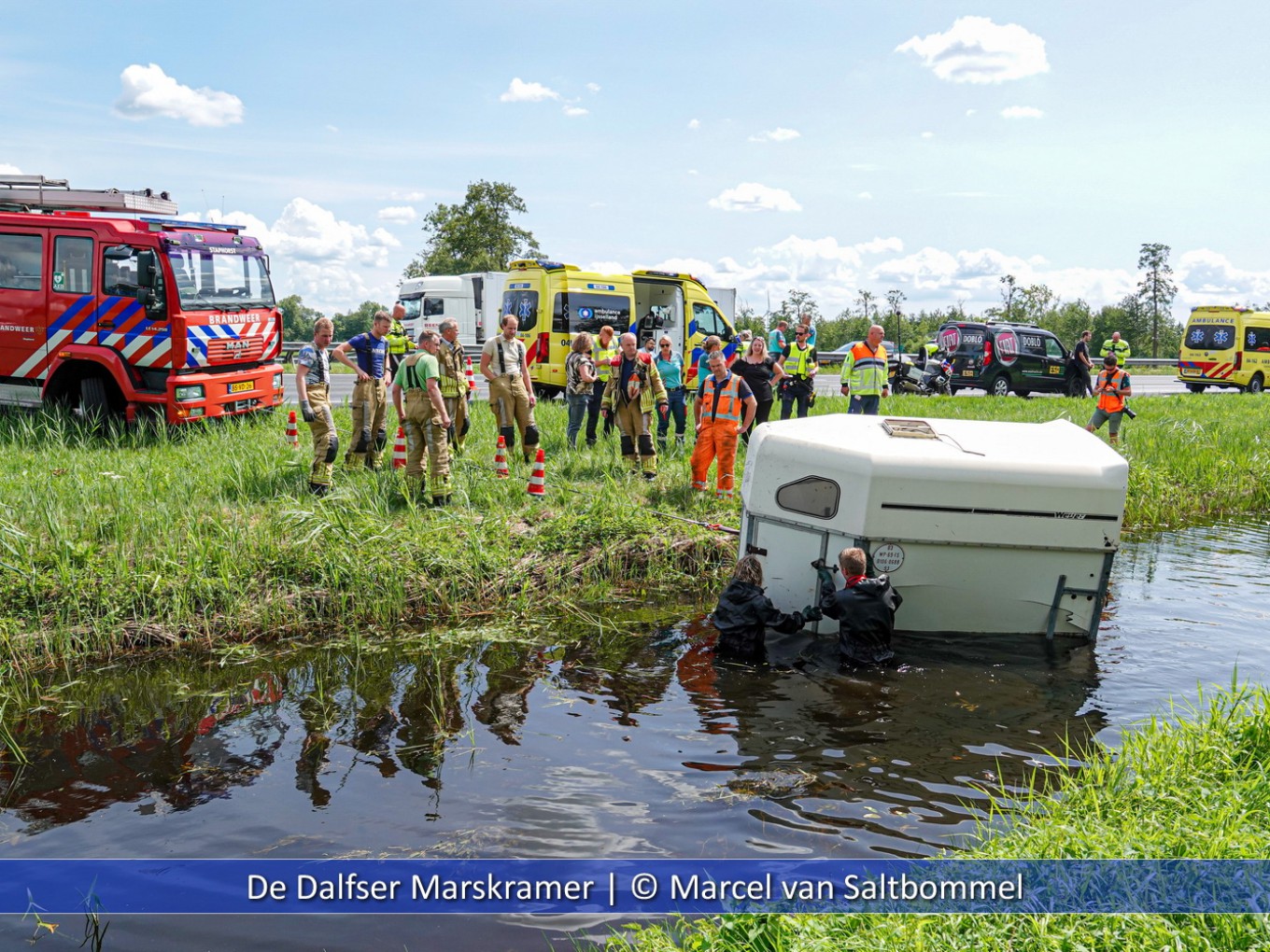 Trailer met pony te water A28