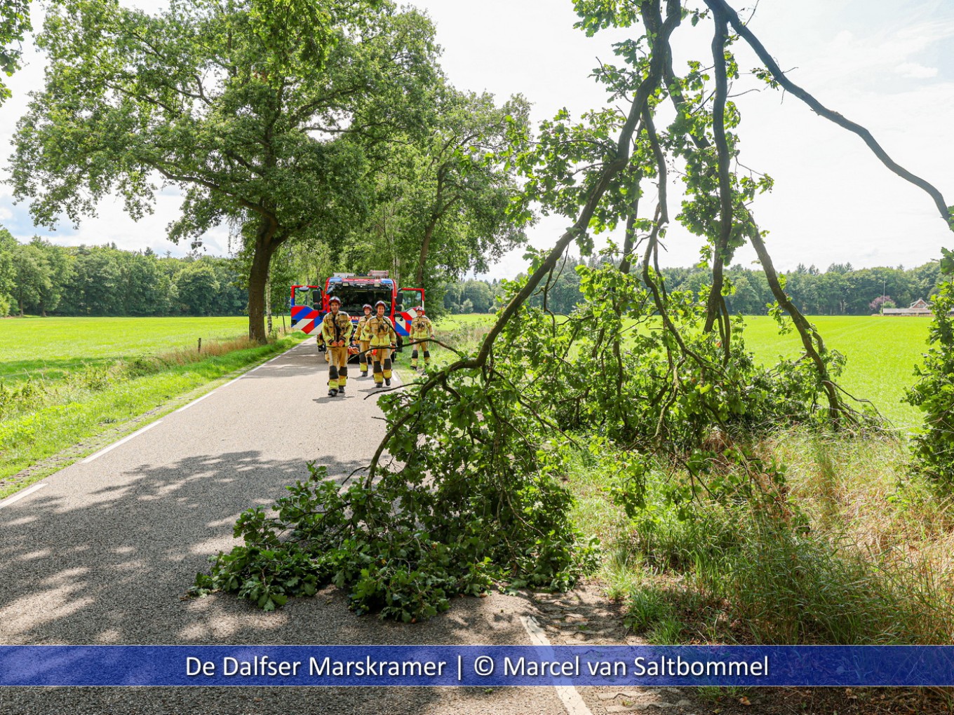 Losgeraakte tak verwijderd