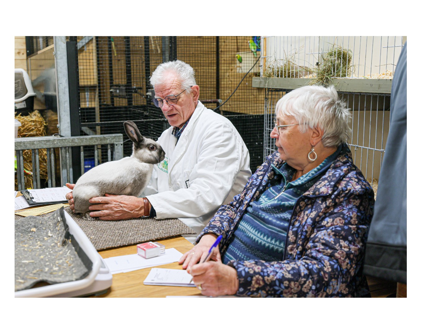 Clubtentoonstelling NKV bij Natuurboerderij BalkInn in Nieuwleusen