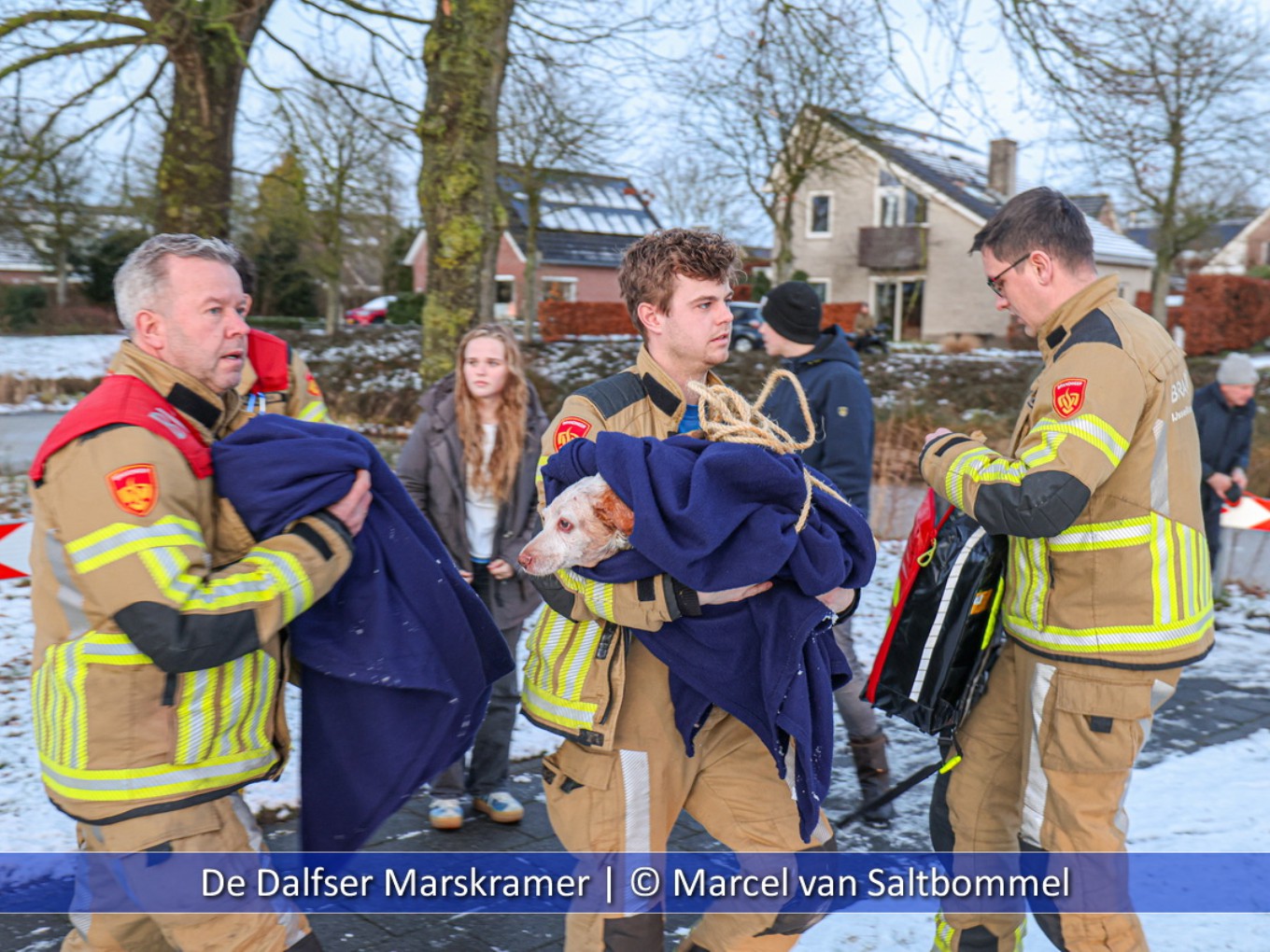 Dappere Willem haalt hond uit water