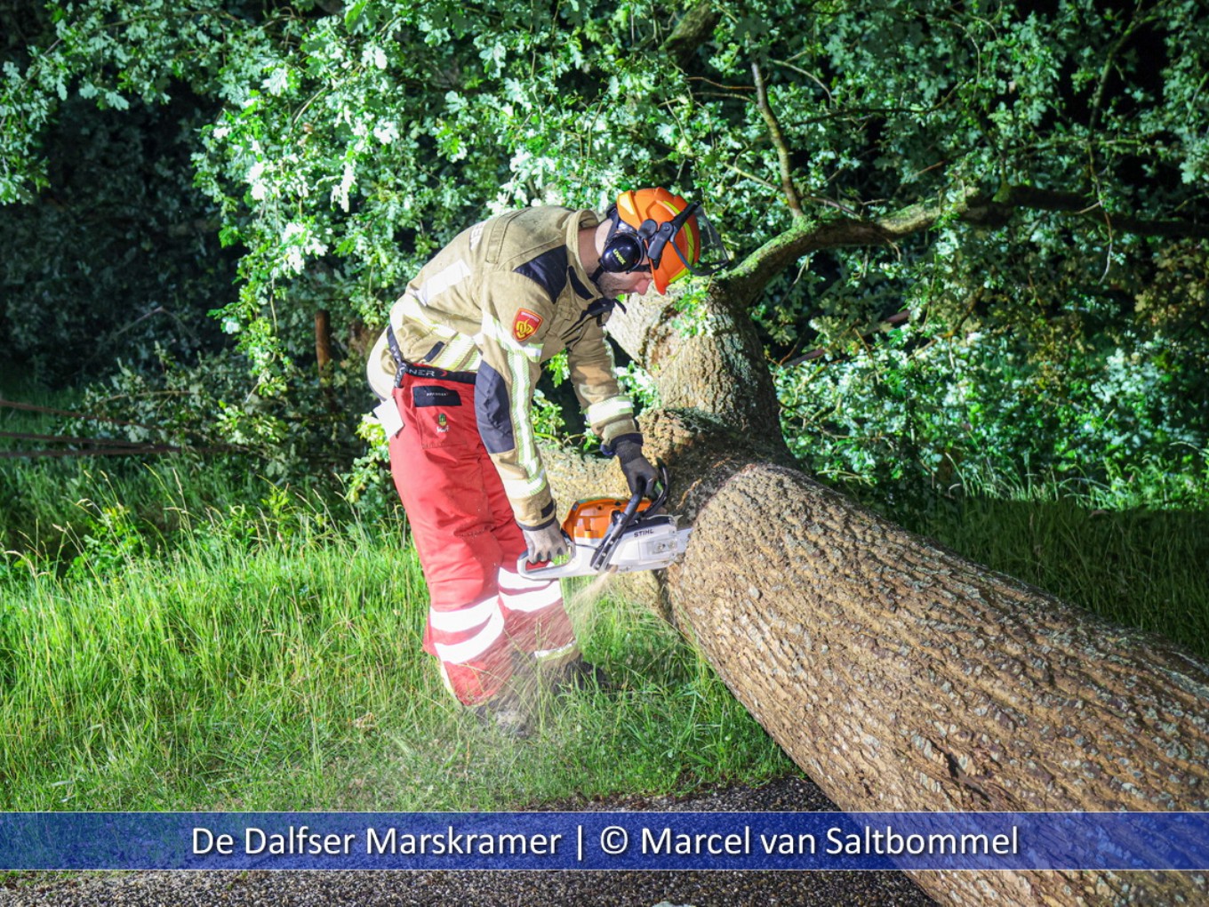 Marcel van Saltbommel