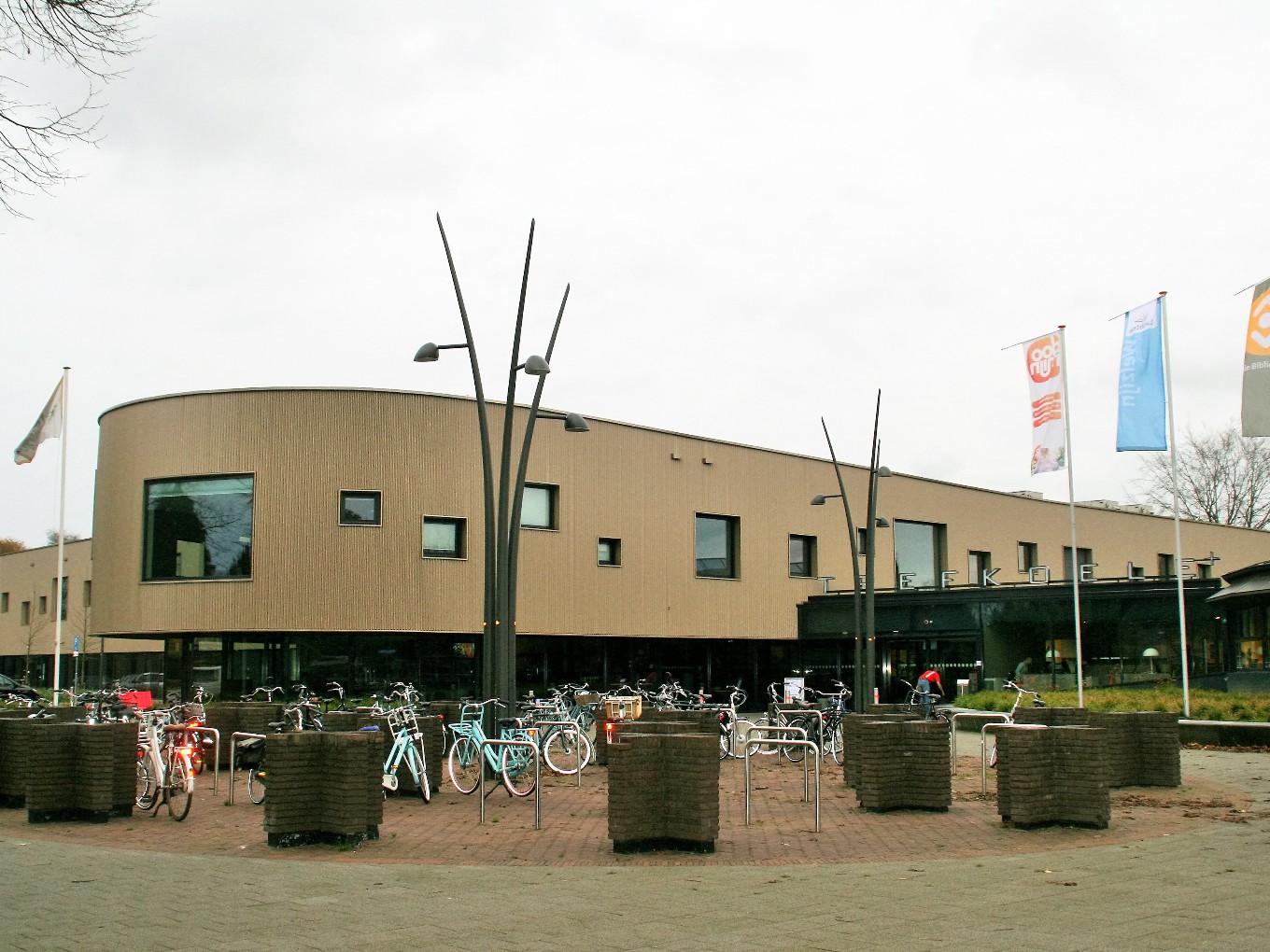 Trefkoele+ houdt enquête over ervaringen en ideeën