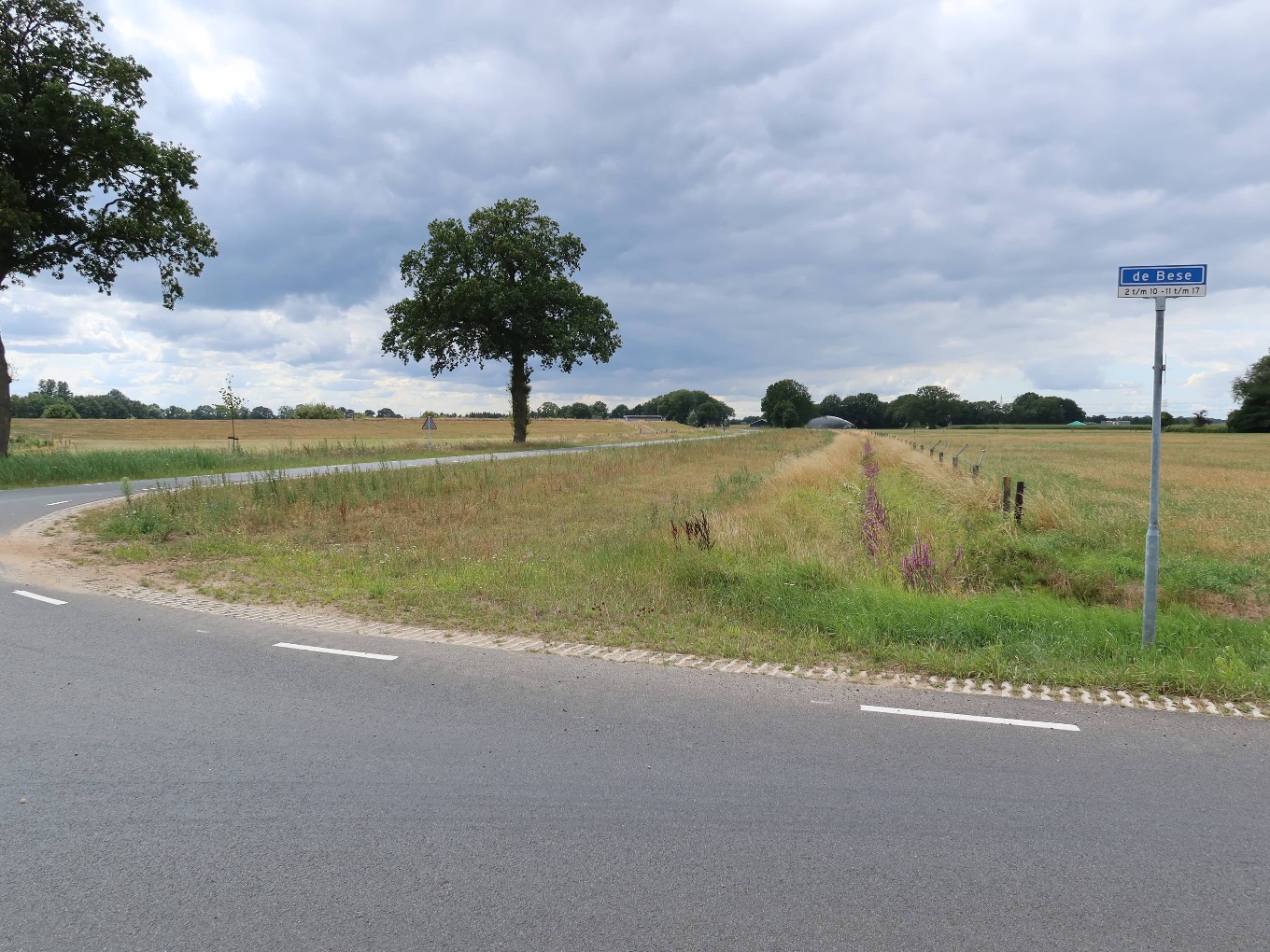 Vrienden van Dalfsen teleurgesteld over bomenplan (oude) Hessenweg