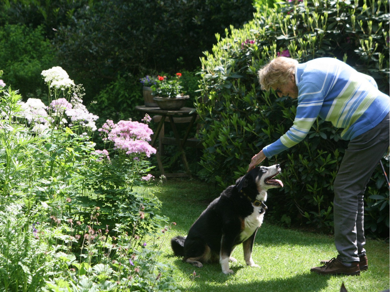 Open tuinenweekend van Groei & Bloei