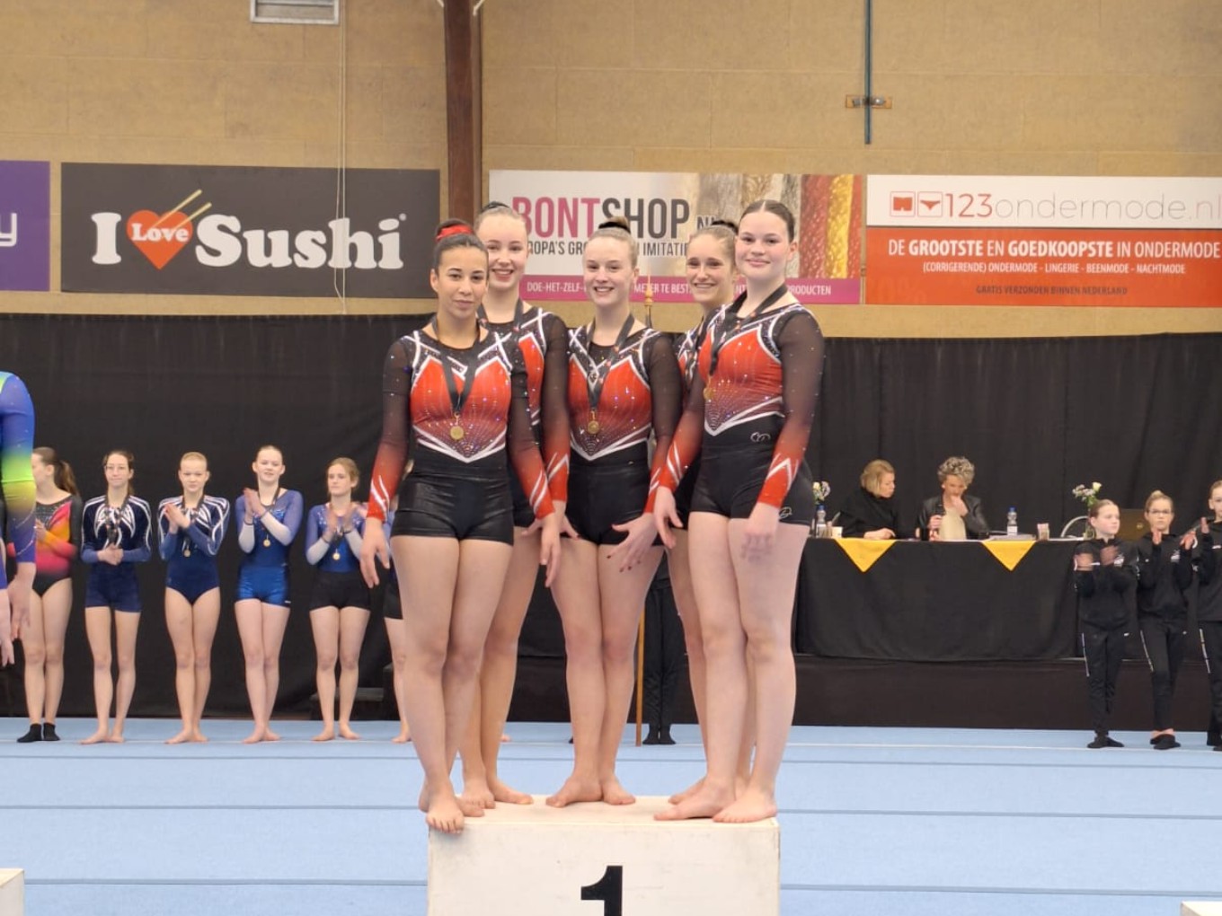 Eerste plek voor team turnsters GVN Nieuwleusen