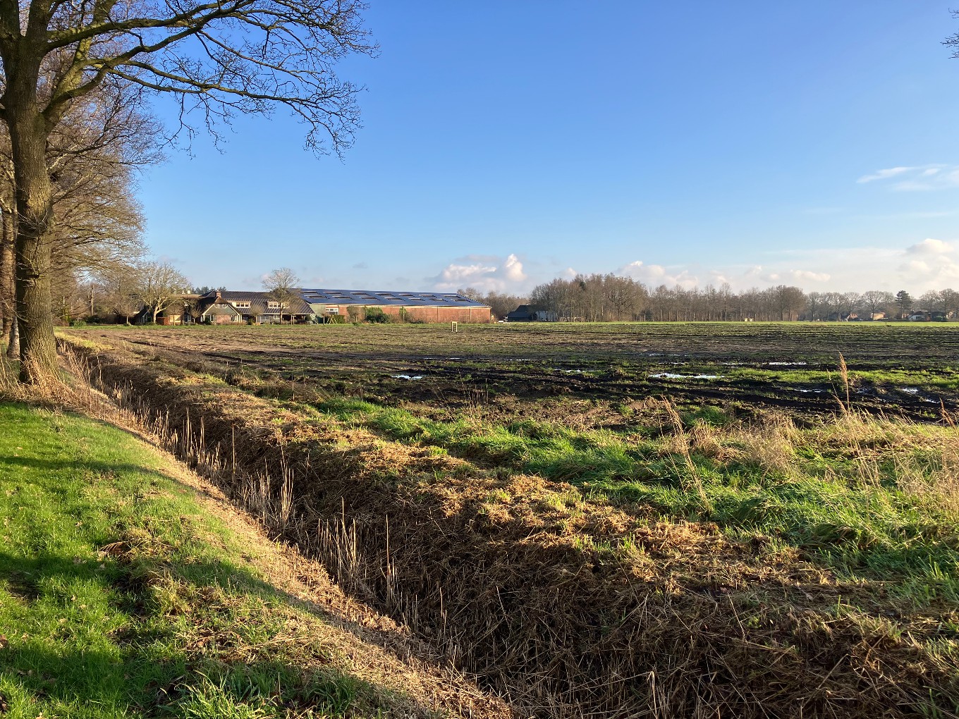 Het nu nog braakliggende terrein aan de Engellandweg.