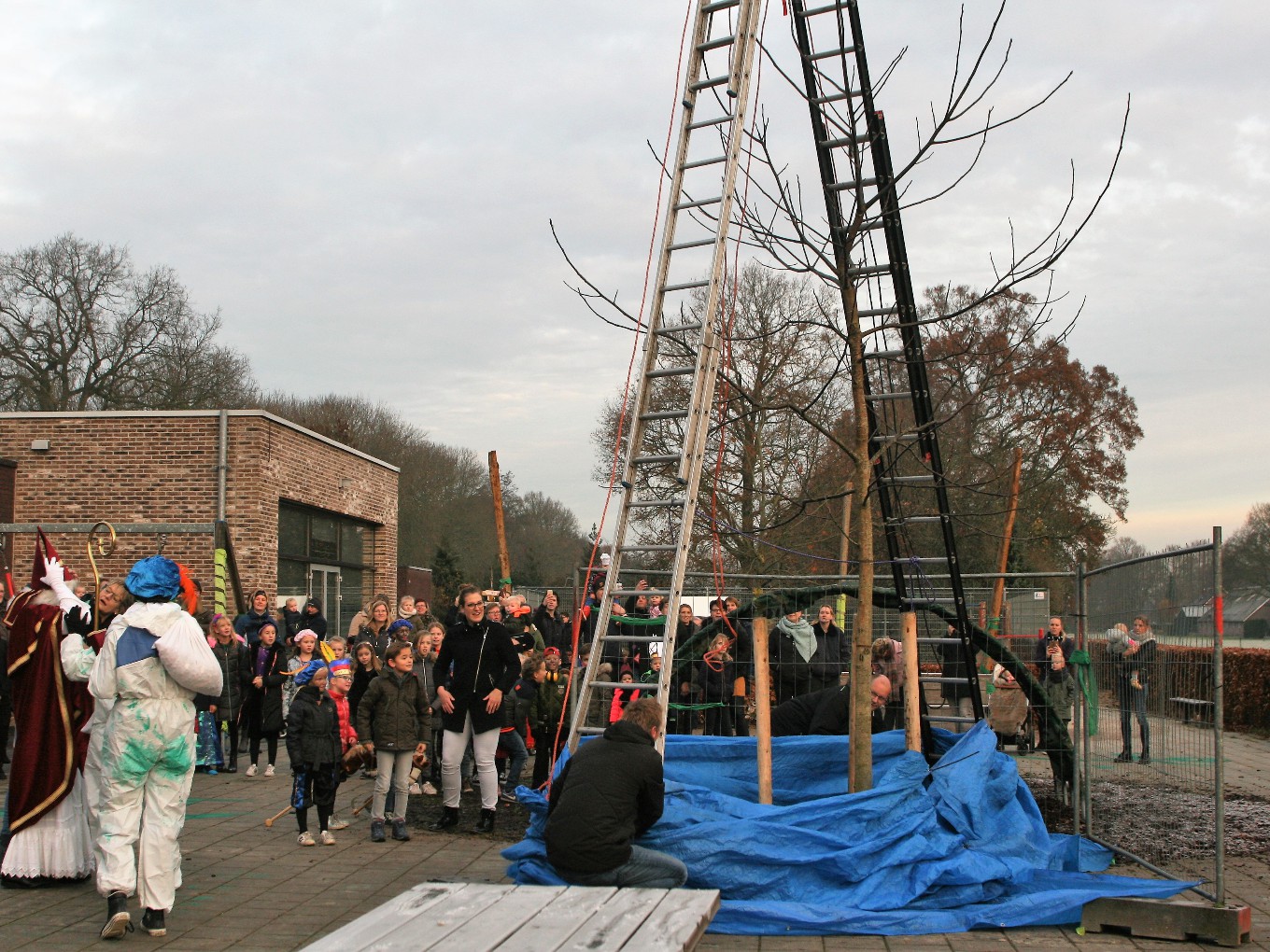 Sinterklaas geeft Het Kompas boom voor groen plein