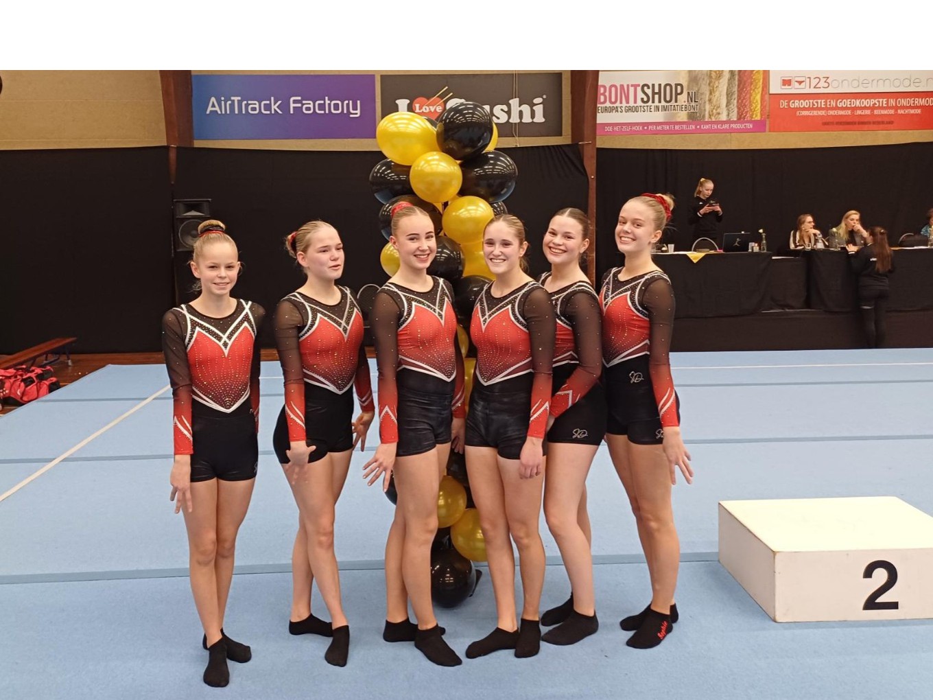 GVN-team Nieuwleusen turnt goed mee