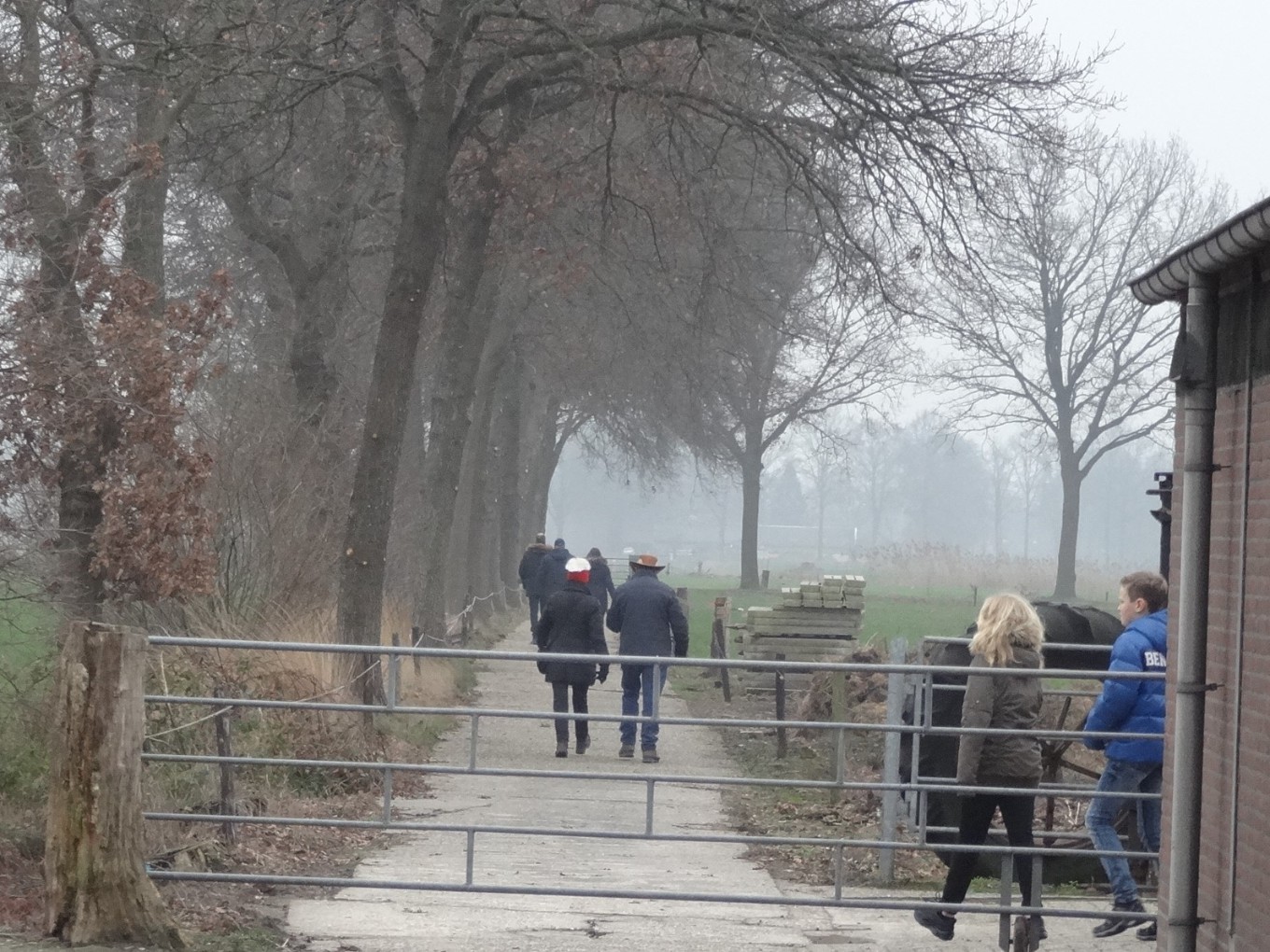 Kerstwandeling Palthehof trekt ruim honderd deelnemers