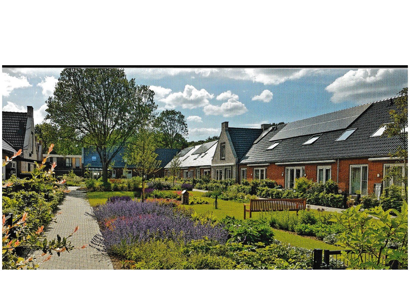 Knarrenhof®: nieuw en uniek woonconcept in Dalfsen
