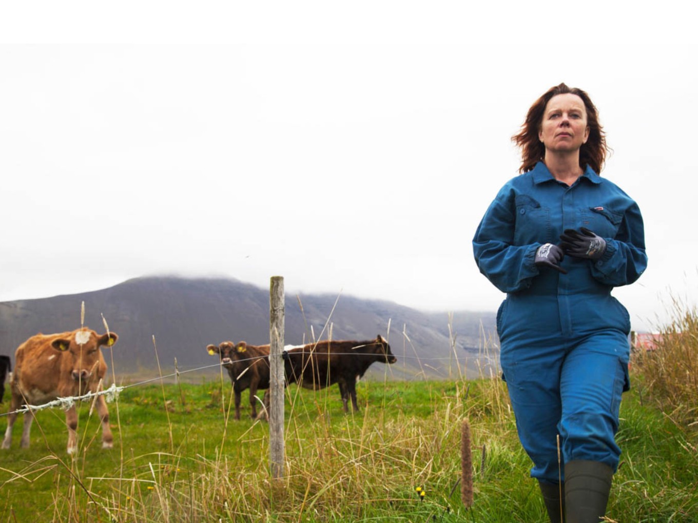 Filmweekend in Theater de Stoomfabriek