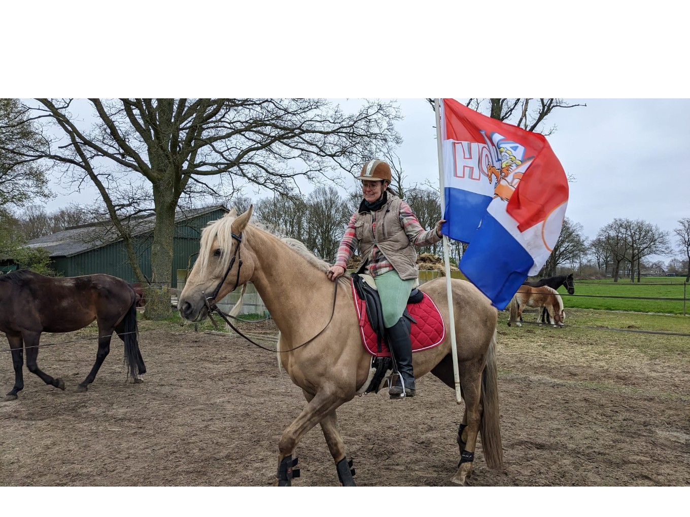 Ook rijkunst te zien bij Kunst om Dalfsen