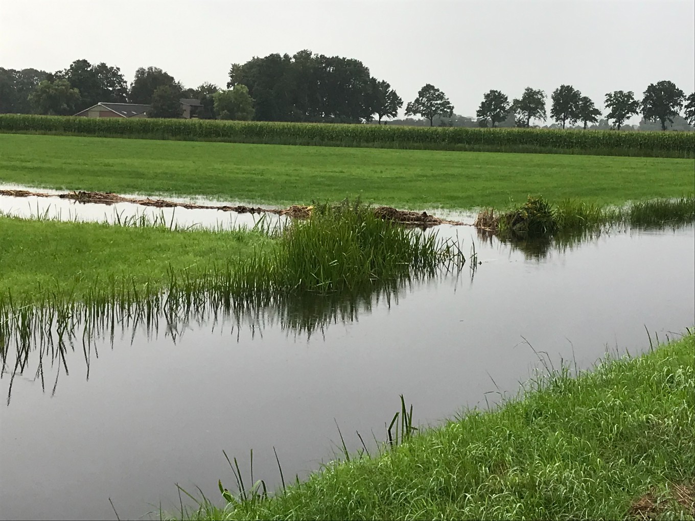 Waterpeilen niet langer boven maximum door vele regen