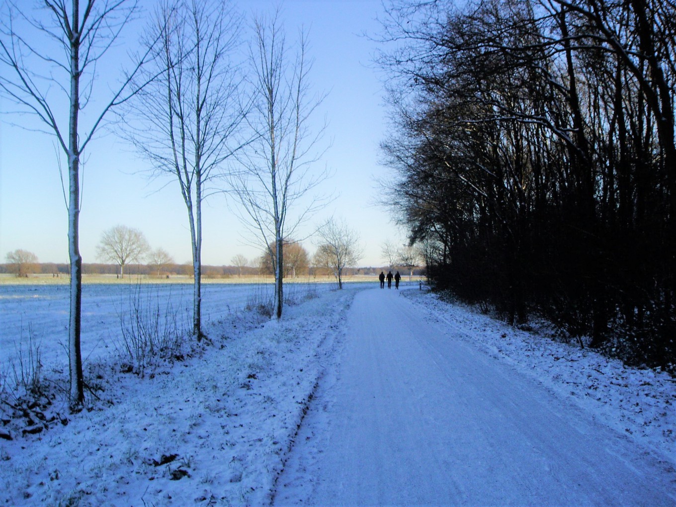 Wonderlijke Winterwandeling op landgoed De Horte in Dalfsen