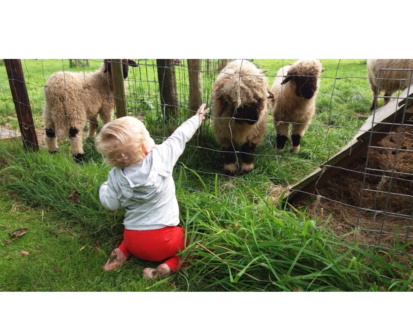 Open dag Worteltuin, bij Buitenplaats De Broekhuizen in Dalfsen