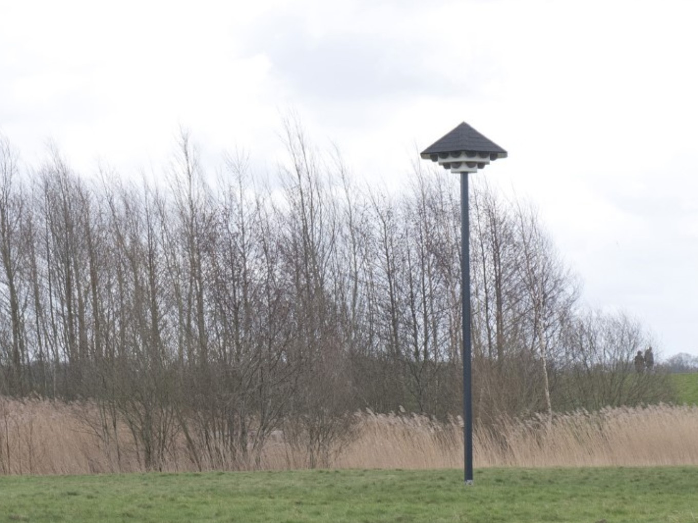 Bellingeweer in Dalfsen is huiszwaluwtil rijker